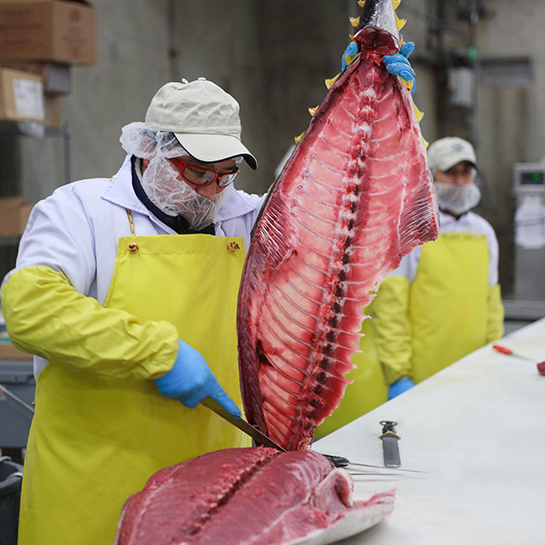 Annasea Fresh Tuna